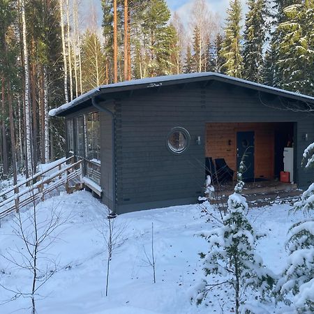 Lakeside Villa With Hole In The Ice Kangasniemi Экстерьер фото