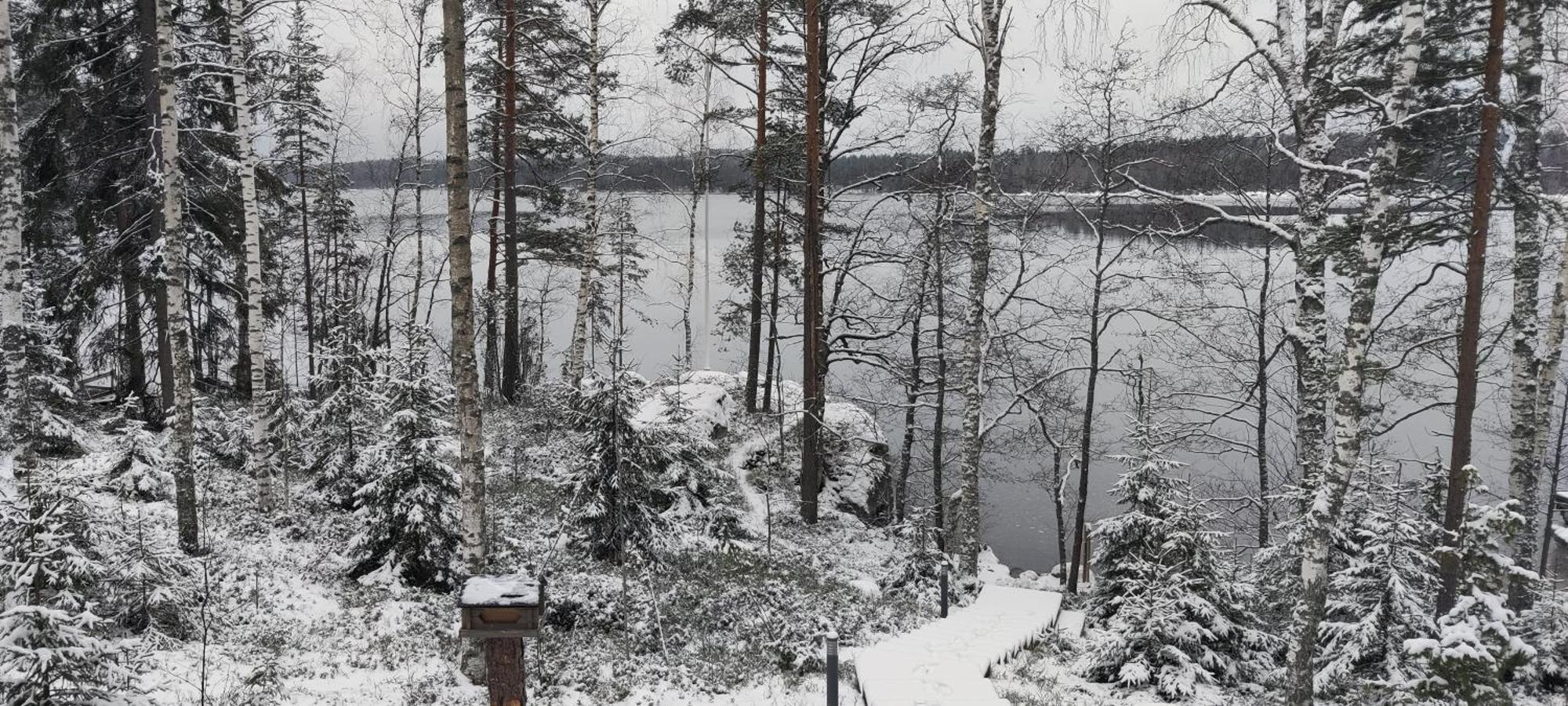 Lakeside Villa With Hole In The Ice Kangasniemi Экстерьер фото